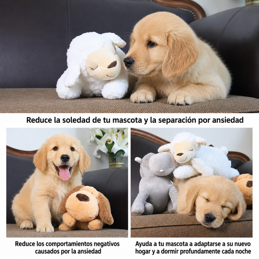 Sueños Tranquilos
